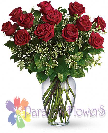 Classic Red Roses