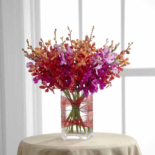 Christmas Extravagance