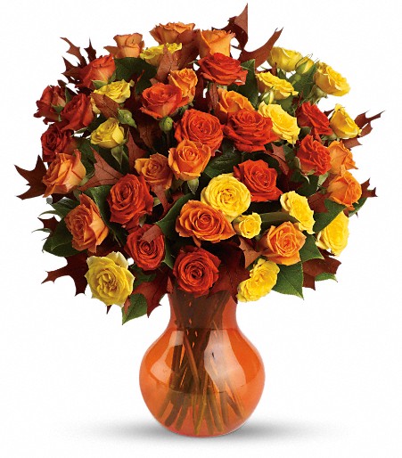 Fall Colored Roses